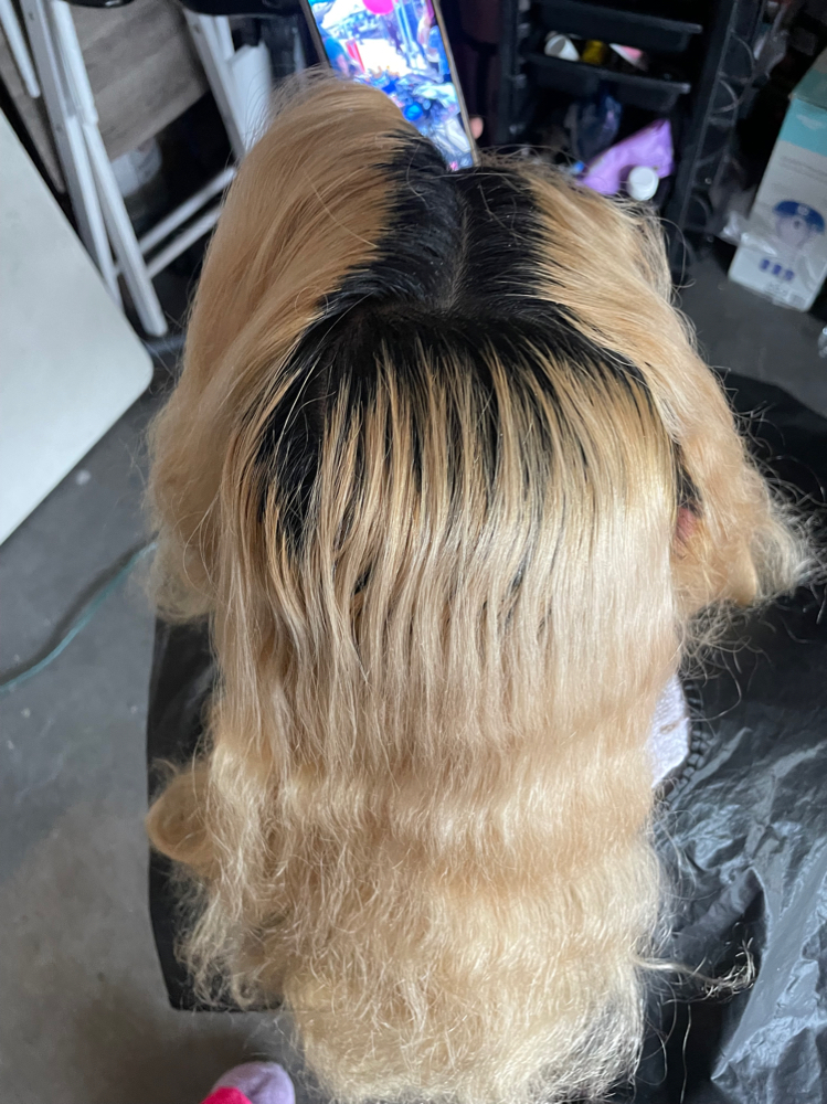 Bleach Touch up