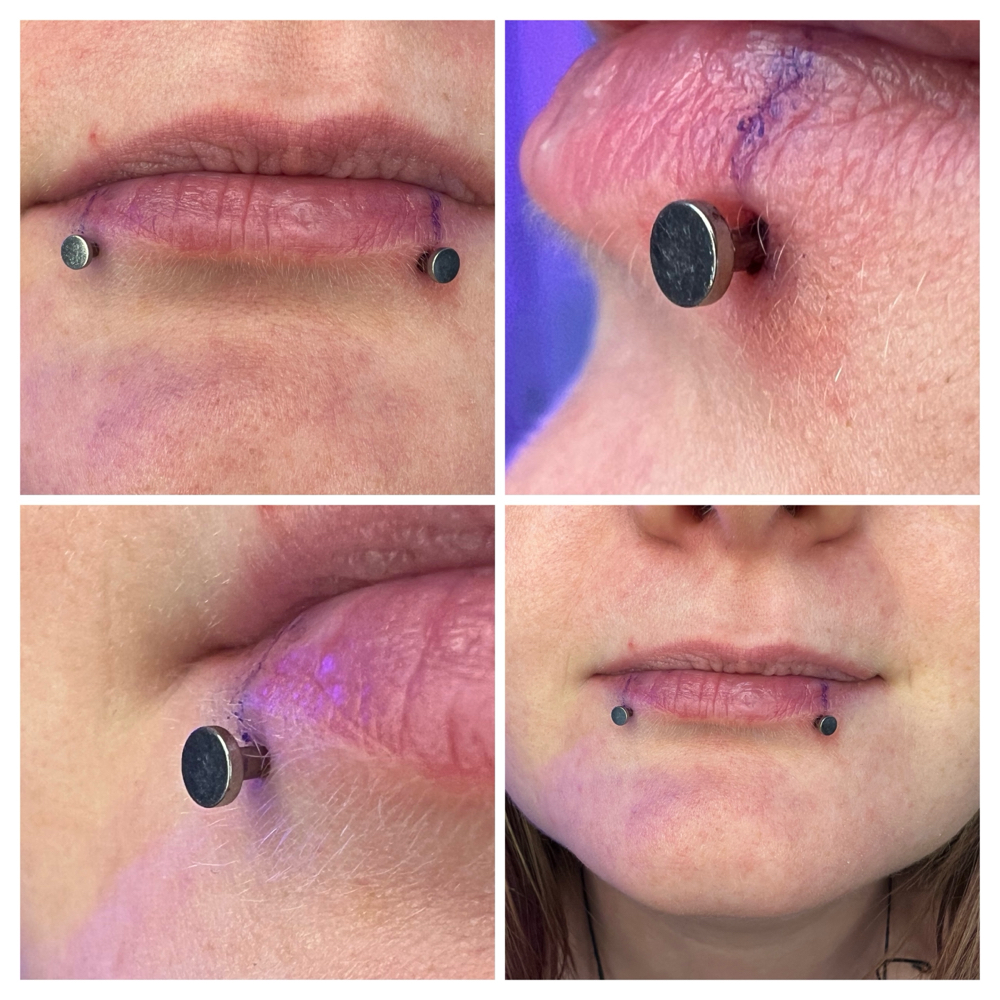 Pair Lower Lip Labret (Snake Bites)