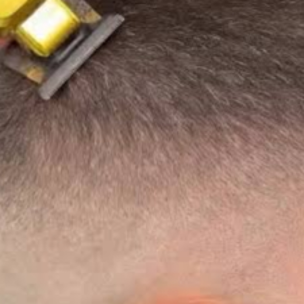 Clipper Cut at Catalyst Collective in Campbell, CA