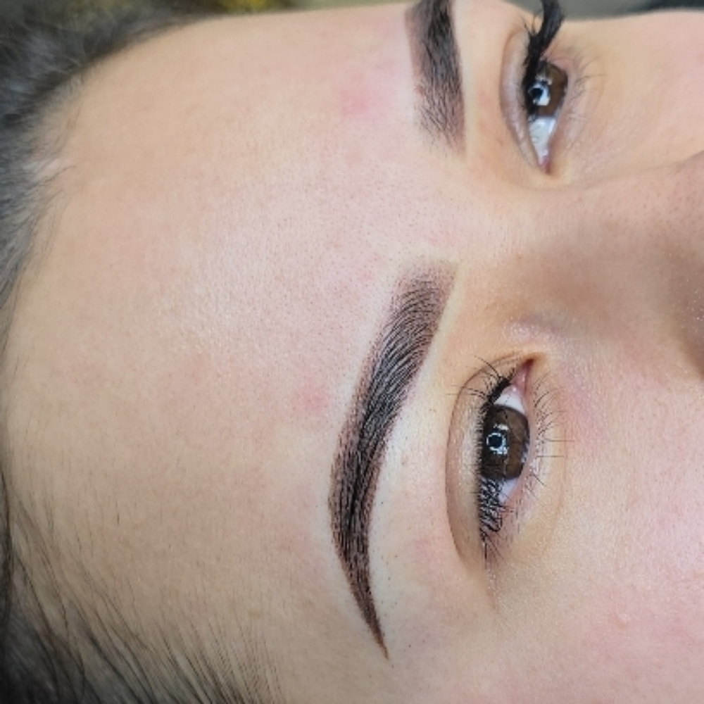 OMBRE  POWDER BROWS MASTER CLASS at BEAUTY | TOUCH PERMANENT MAKEUP in Laurel, MD