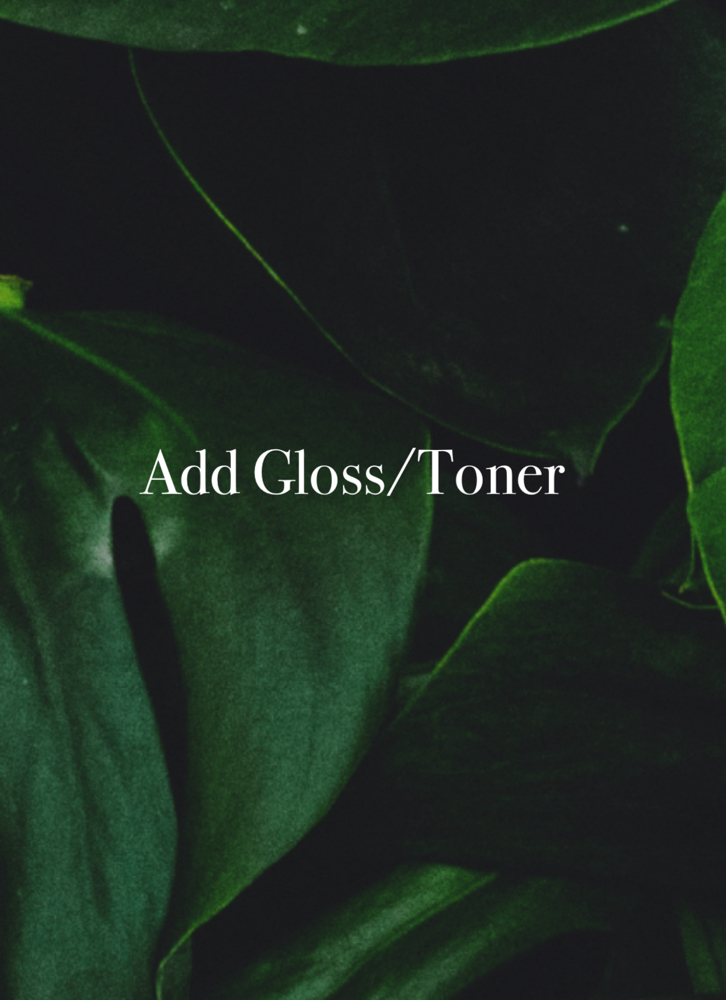 Add Gloss/Toner at Anestie Beauty Lounge in Franklin Square, NY