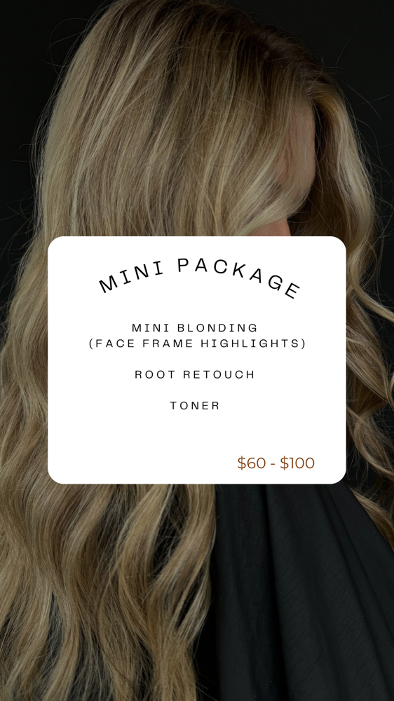 MINI PACKAGE