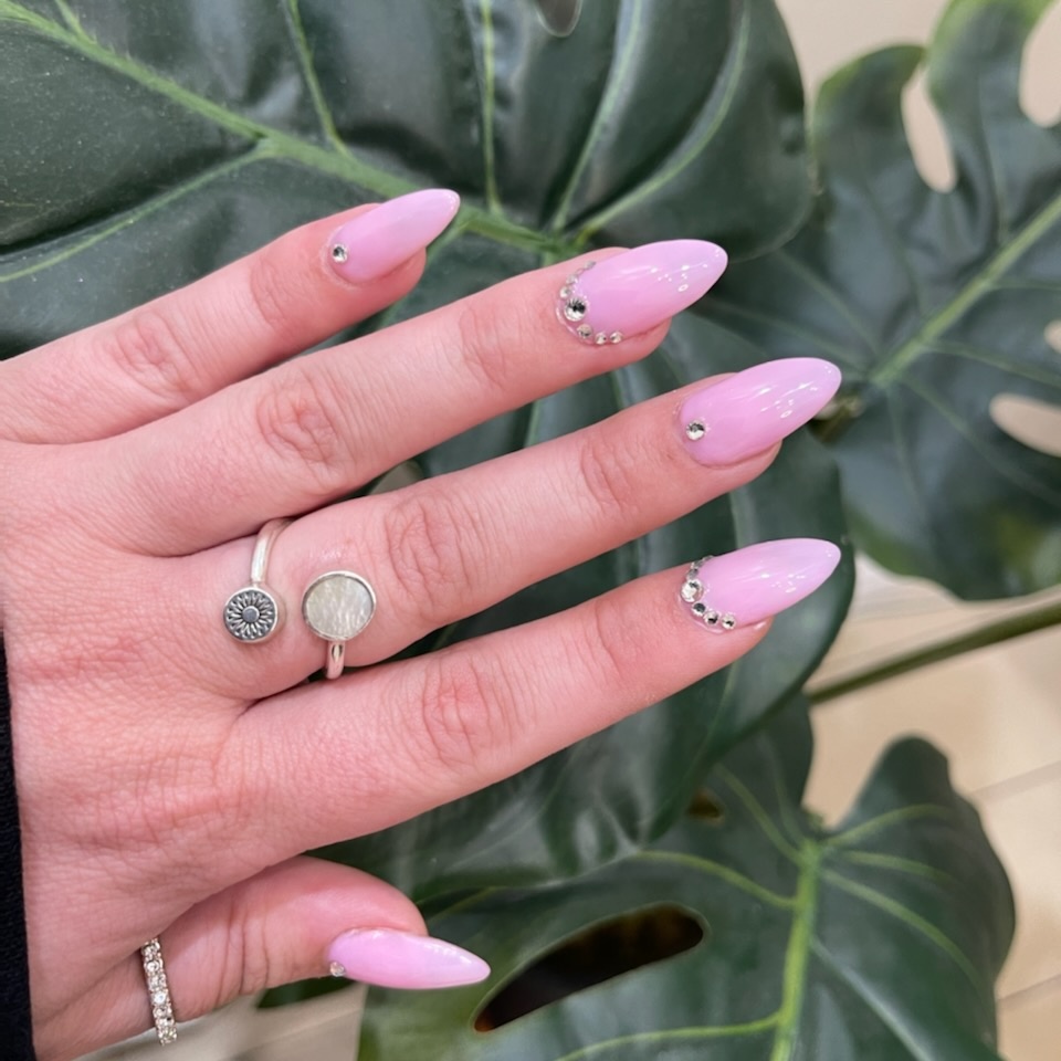 Gel x Beginner Model Price at Passport To Beauty in Anaheim, CA