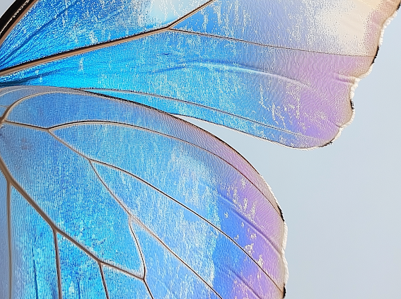 Vivid Hair Color Refresh at Eye Candy Hair Co. in Estero, FL