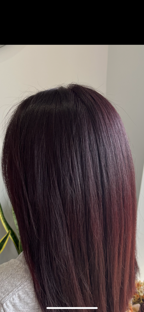 Root Touch Up