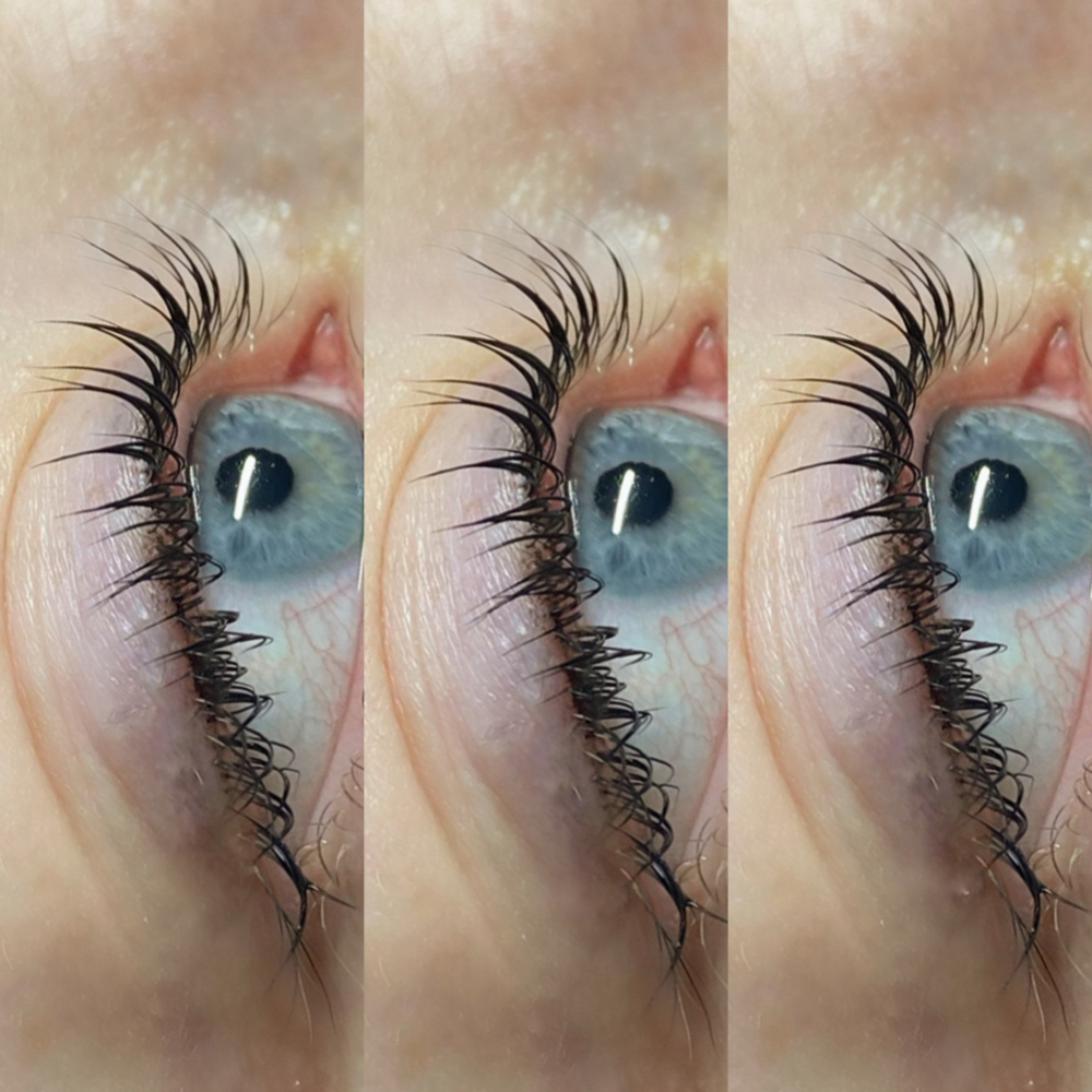 Lash Lift at Kayden Geddes in Reno, NV