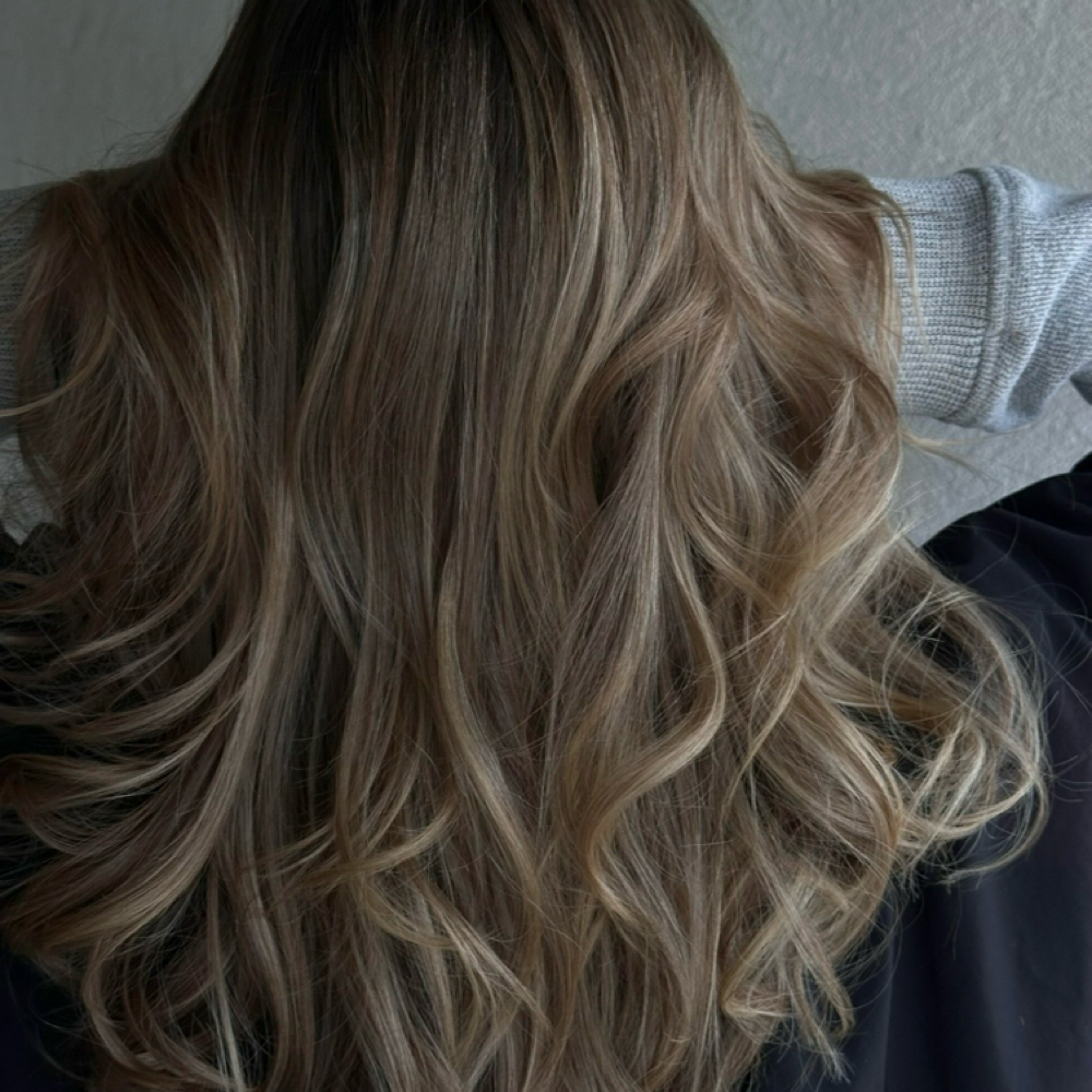 The Haircut at Sev’s Studio in Fort Lauderdale, FL