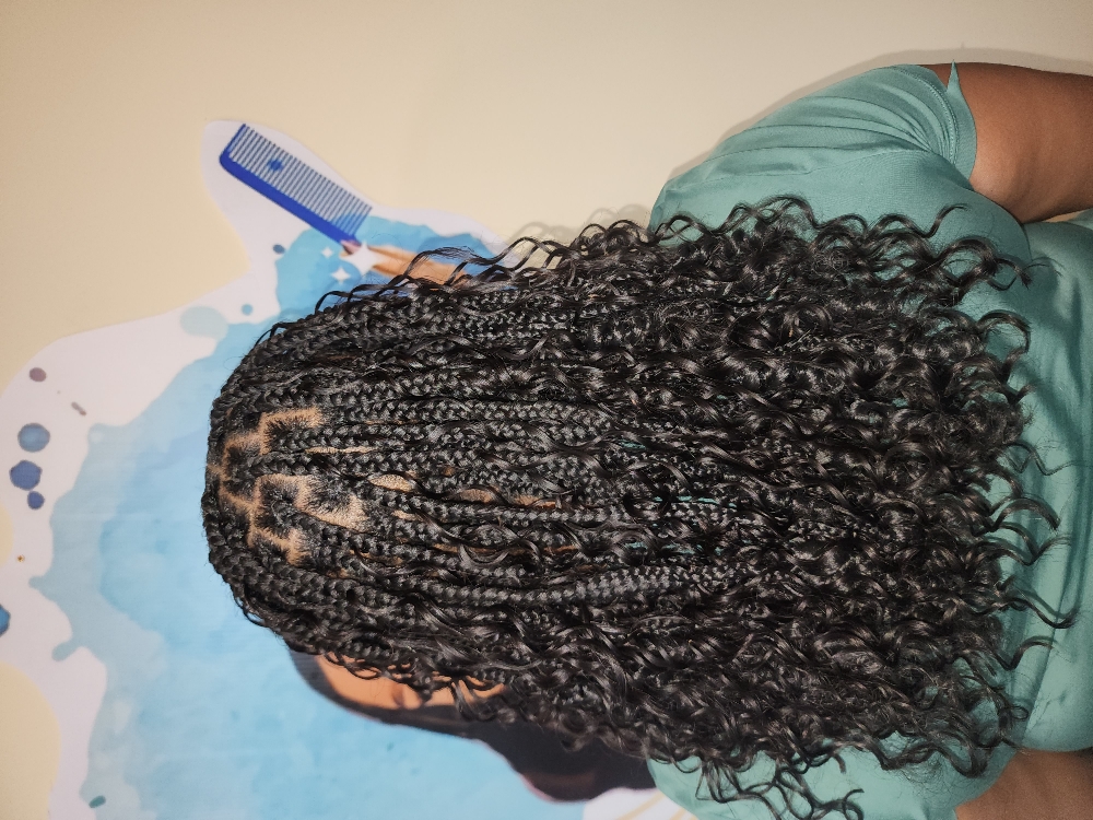 Shoulder Length Braids/Twist