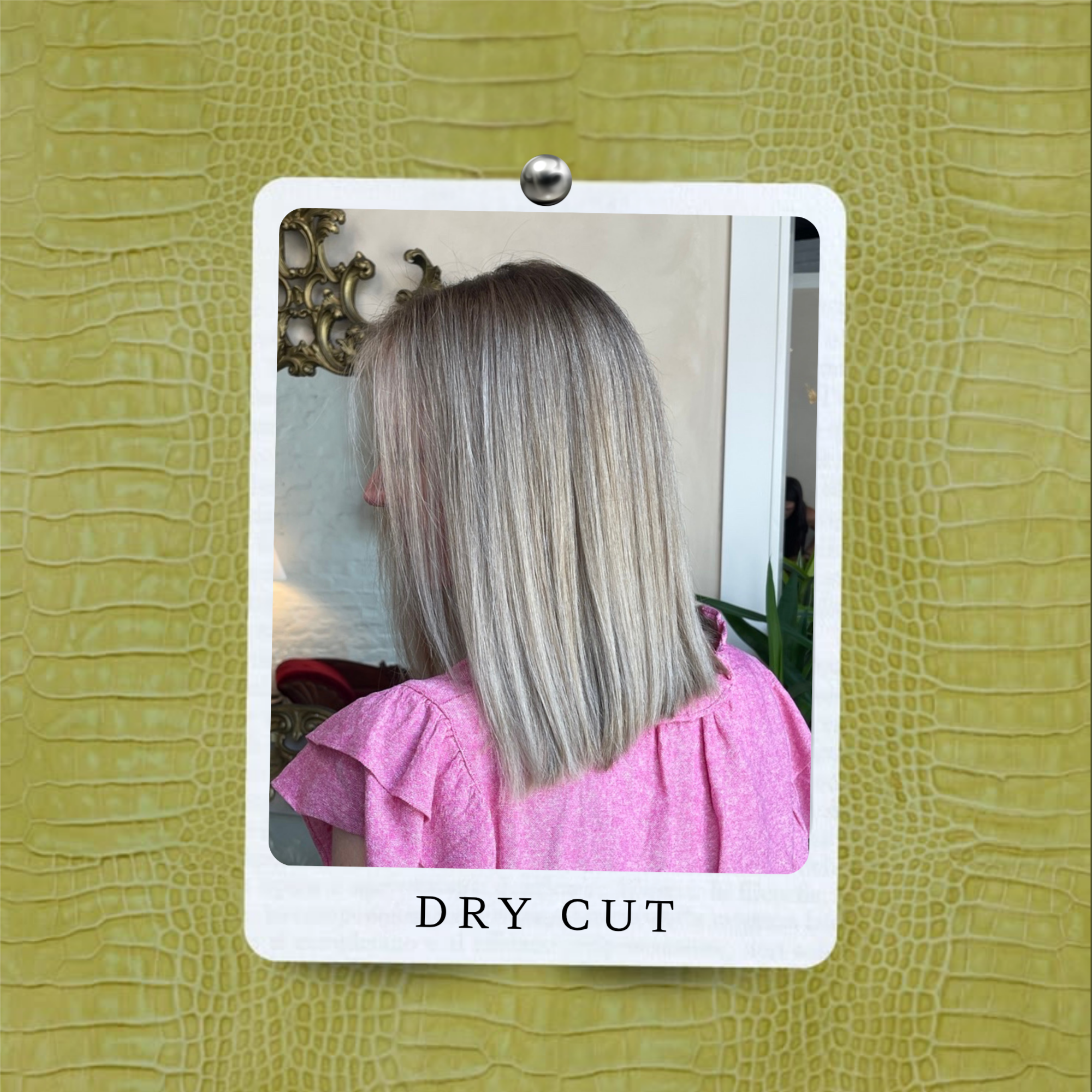 Dry Cut Only at COLORSxCOURT in Lincolnton, GA