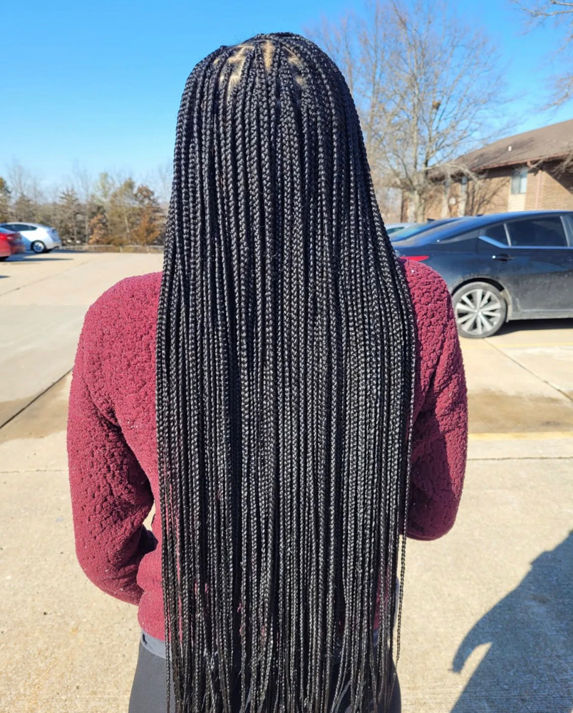 Knotless/Box Braids (sml Butt L)
