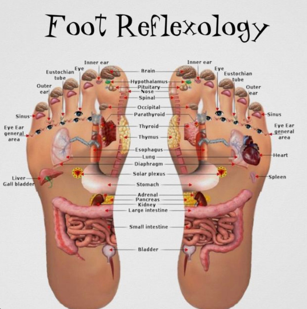 Reflexology Feet