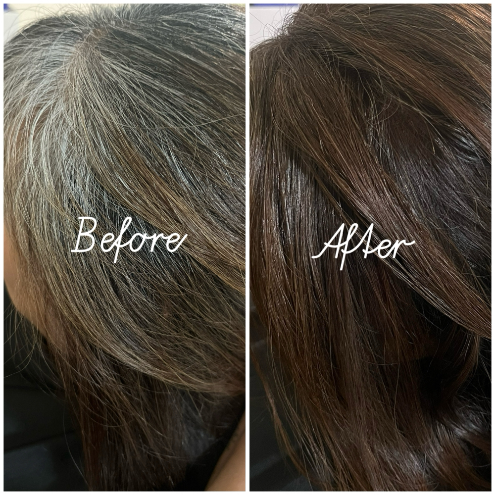Root Touch Up