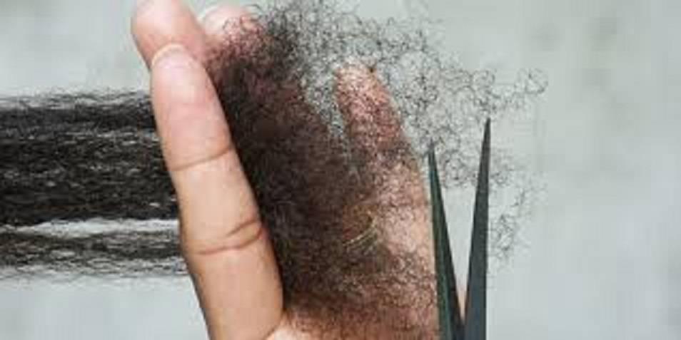 Cut/Trim