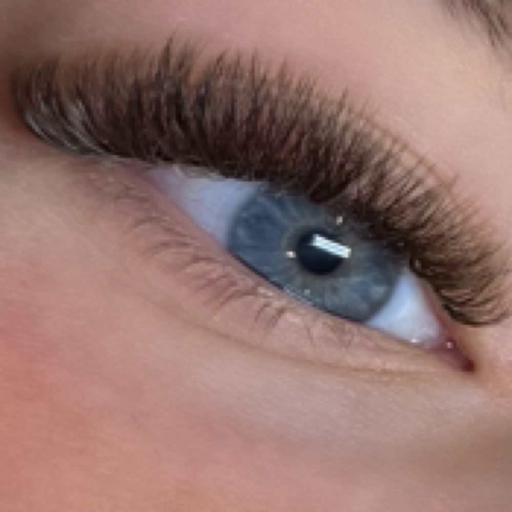 Volume Lash Fill at Blonde and Boujee in Fargo, ND