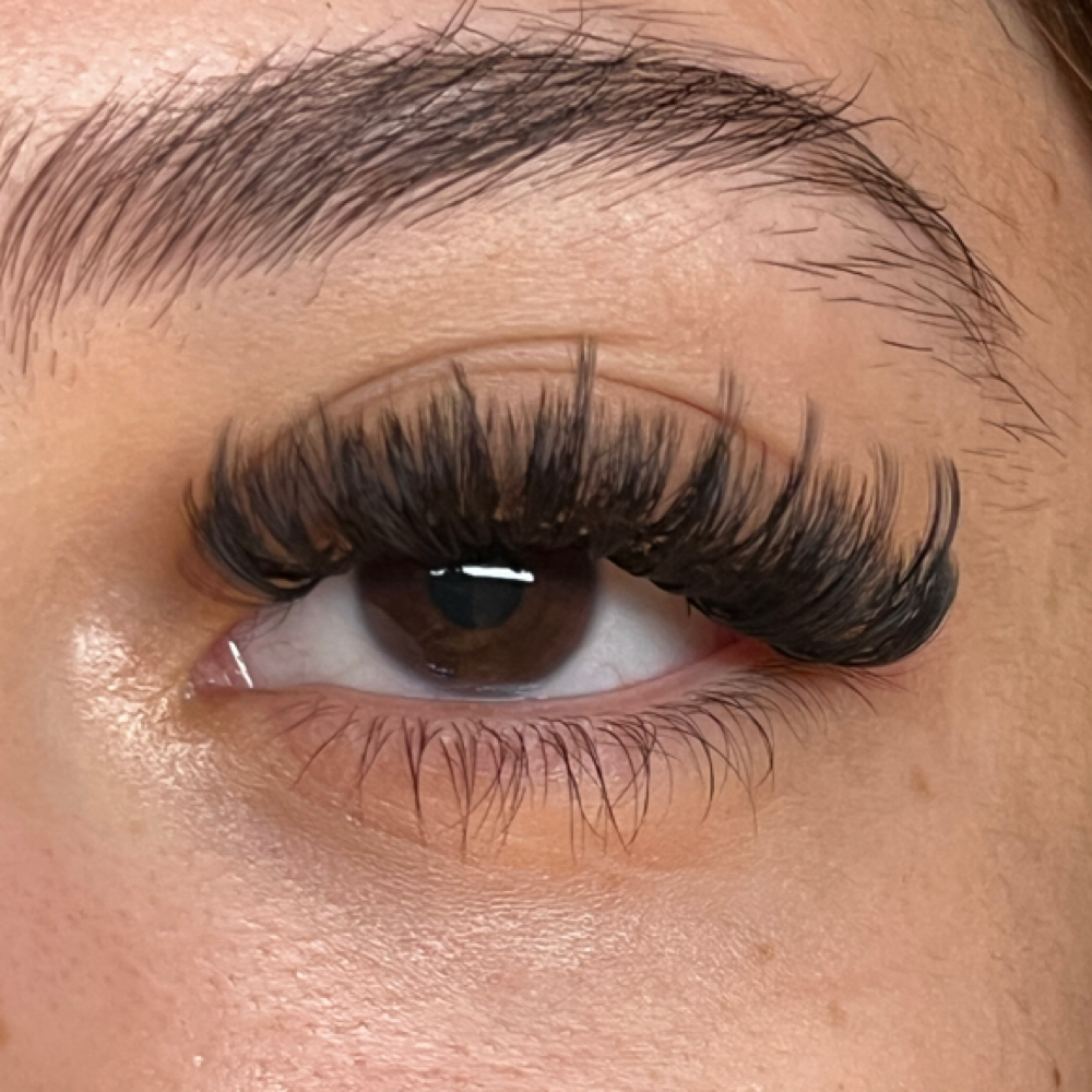Volume lashes- 3 Week Refill