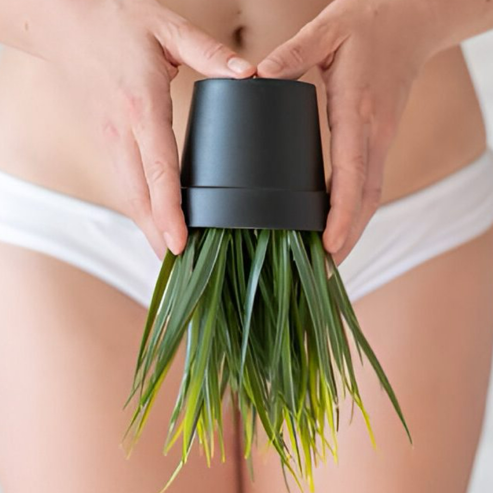 Bikini Wax (MAINTENANCE ) at NAKED Beauty Bar in Prescott, AZ