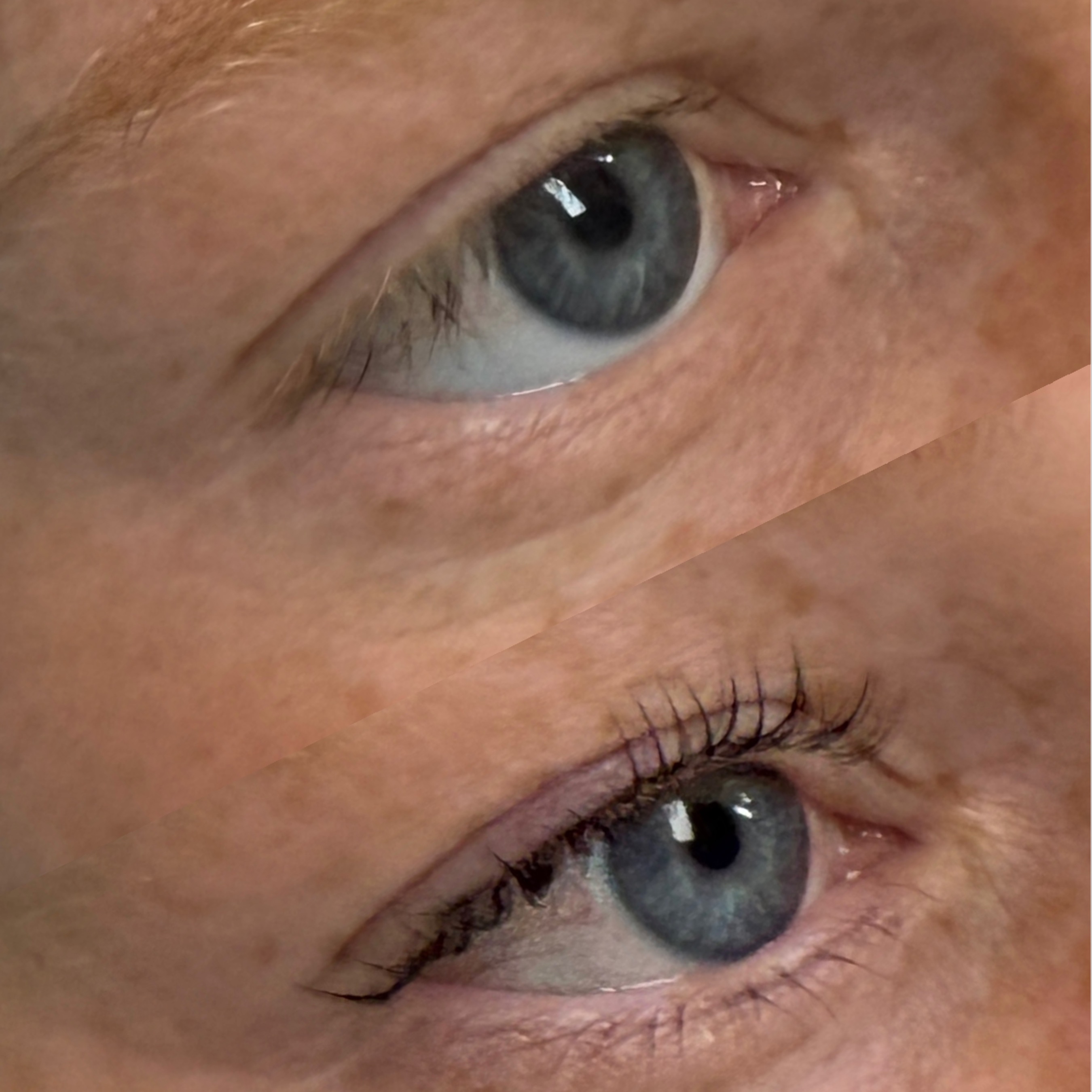 Lash Tint at Aloha Lashes and Brows in Ventura, CA