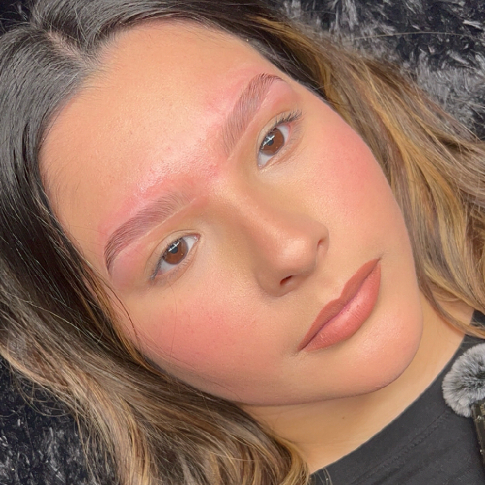 Brow Maintenence Appointment at Pretty Please Lash Me in Irving, TX