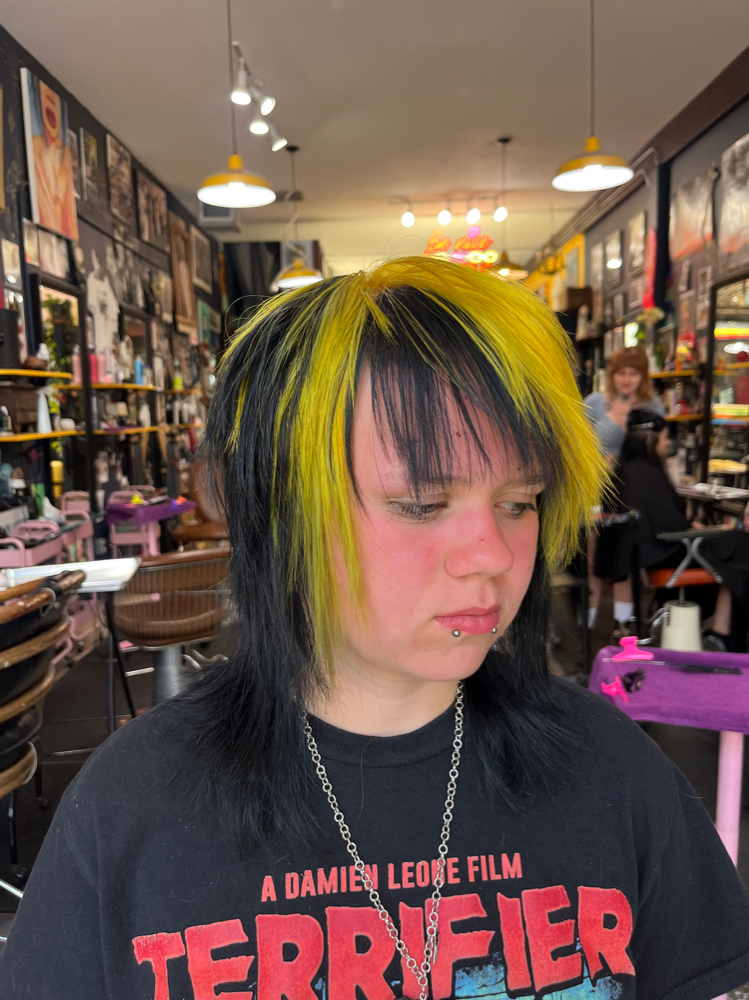 Fashion Color/Roots/Patches/Chunks at sweettoothstylz in Los Angeles, CA