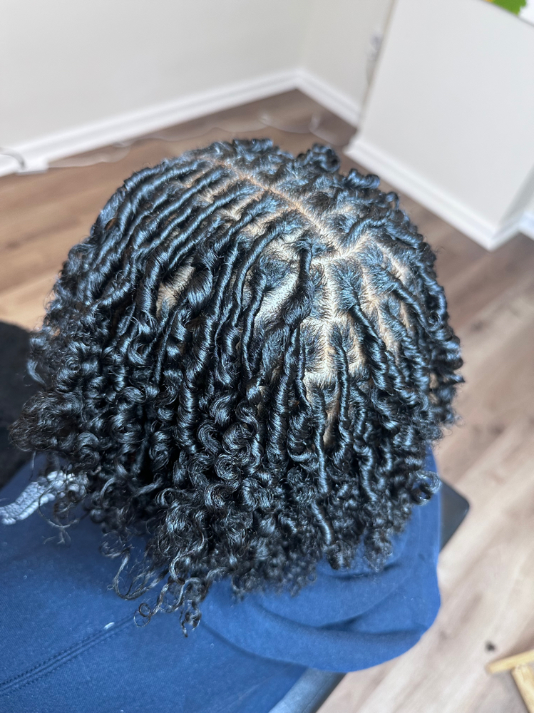 Starter Locs (100)