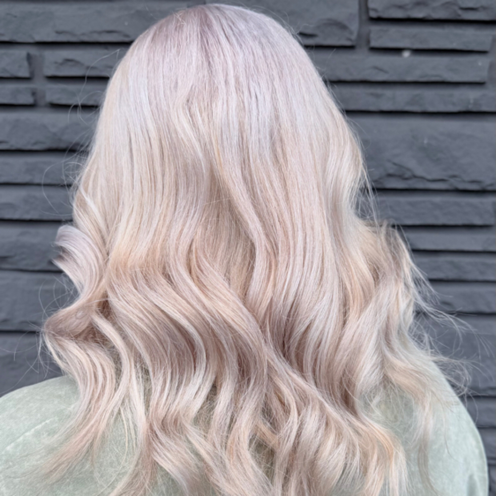 Bleach & Tone at Buckwild Beauty | Backwoods Hair in Morristown, TN