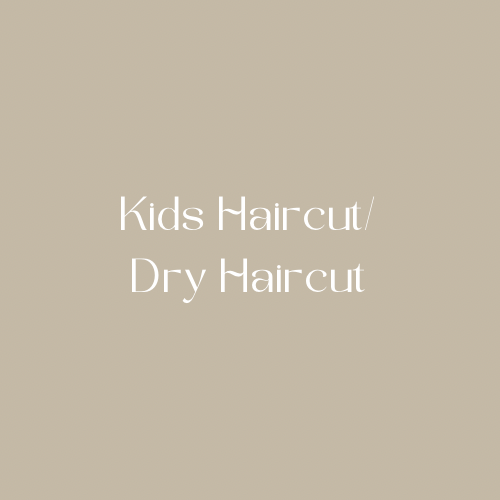 Kids Haircut/Dry Haircut