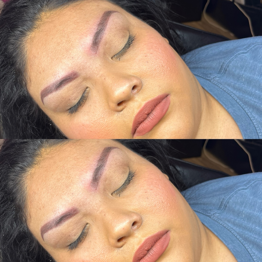 Brow- Yearly Touchup/Refresh