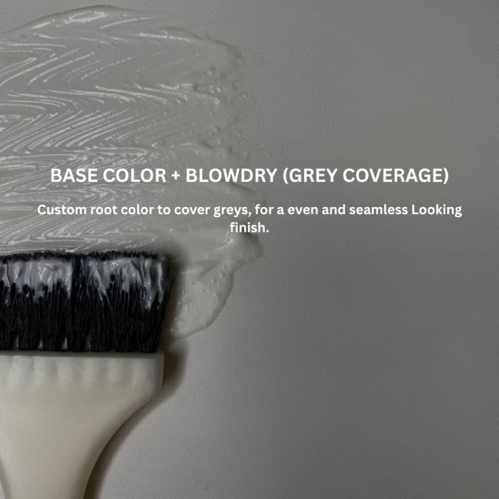 Base Color + Blowdry(grey Coverage) at Blond Era + Co in Tampa, FL