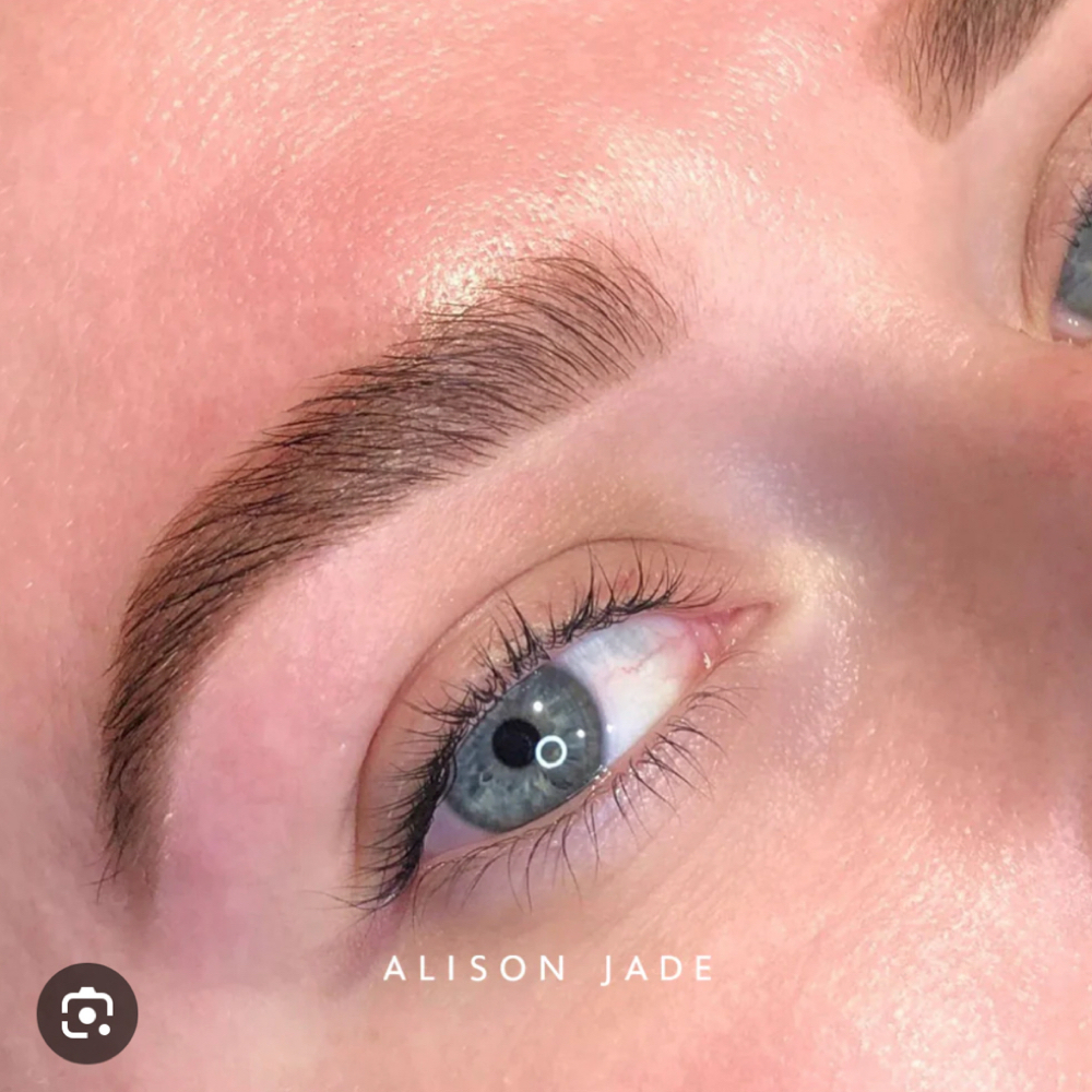 Brow Wax And Tint at Harmony Beauty Waxing Studio in Colorado Springs, CO