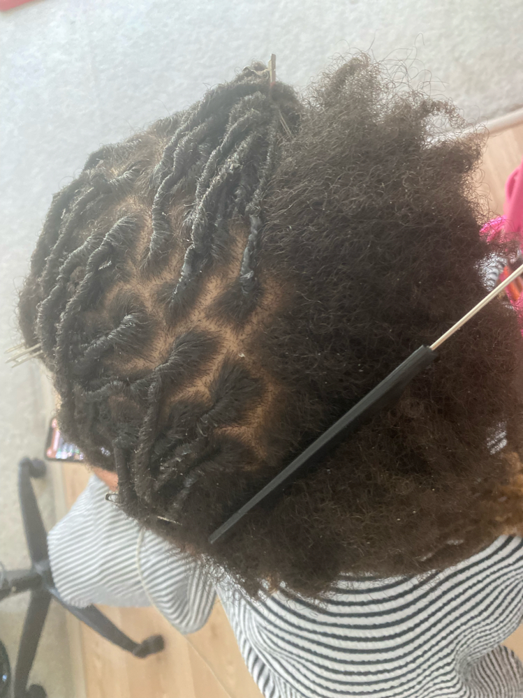 Starter Locs