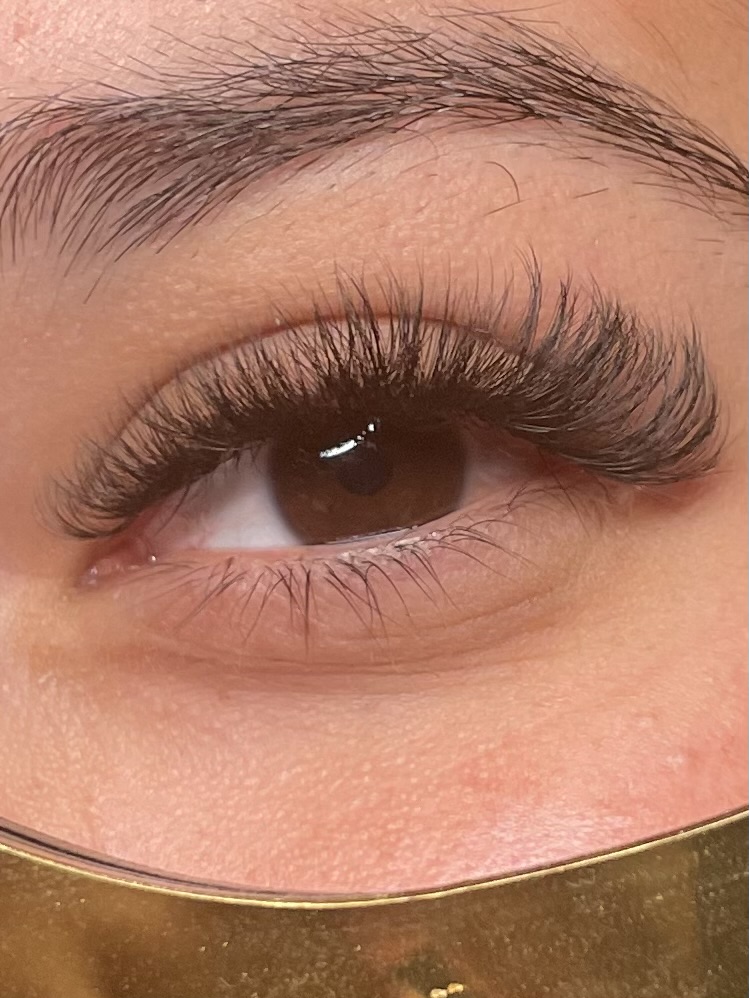 Hybrid at D Beauty Bar in McAllen, TX