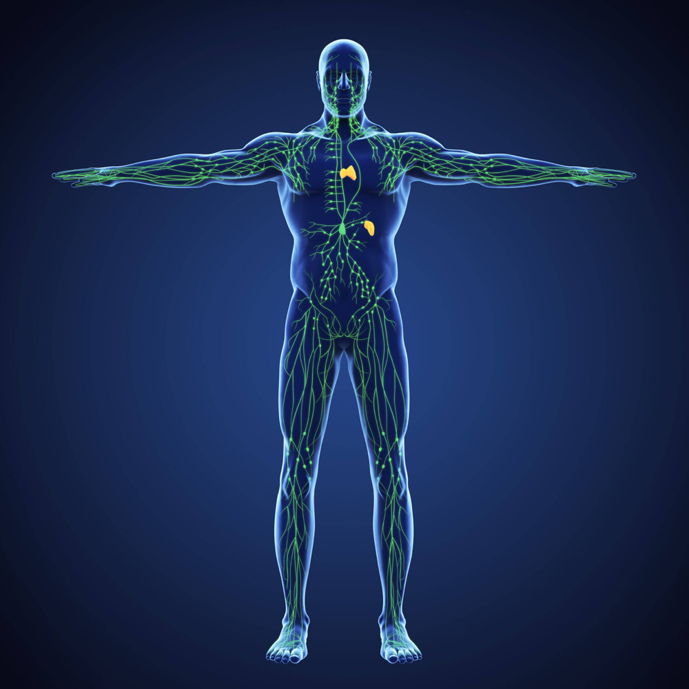 Manual Lymphatic Drainage