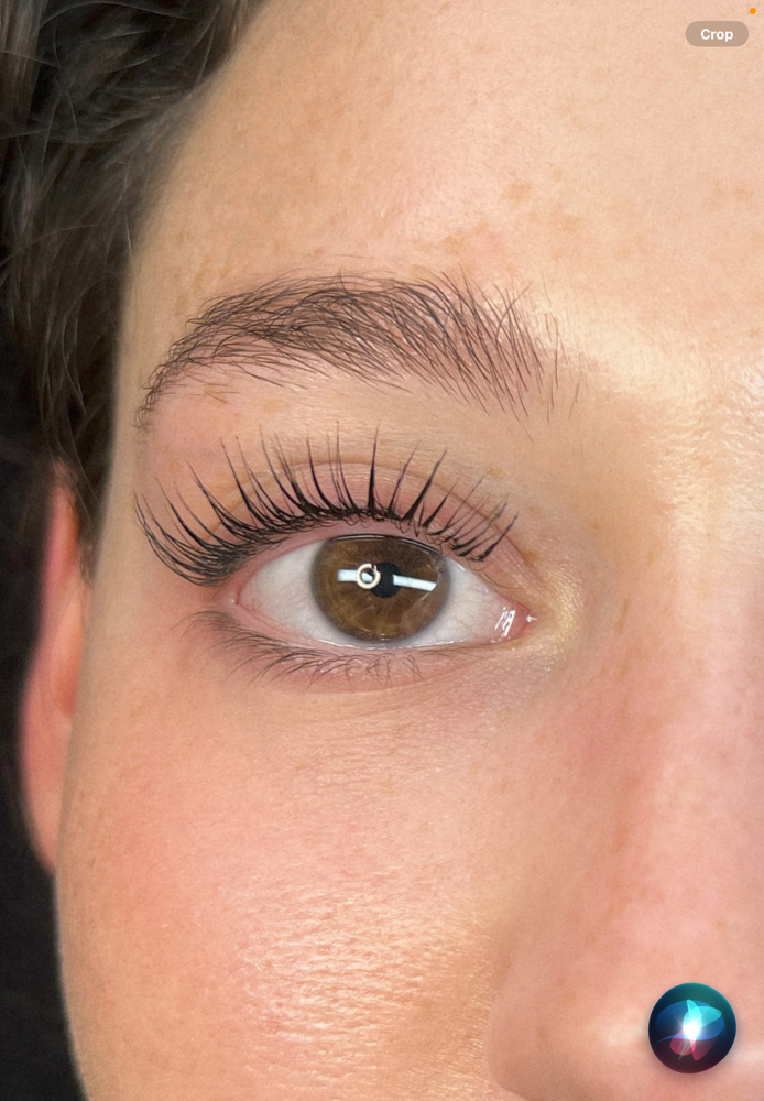 Korean Lash Lift & Tint
