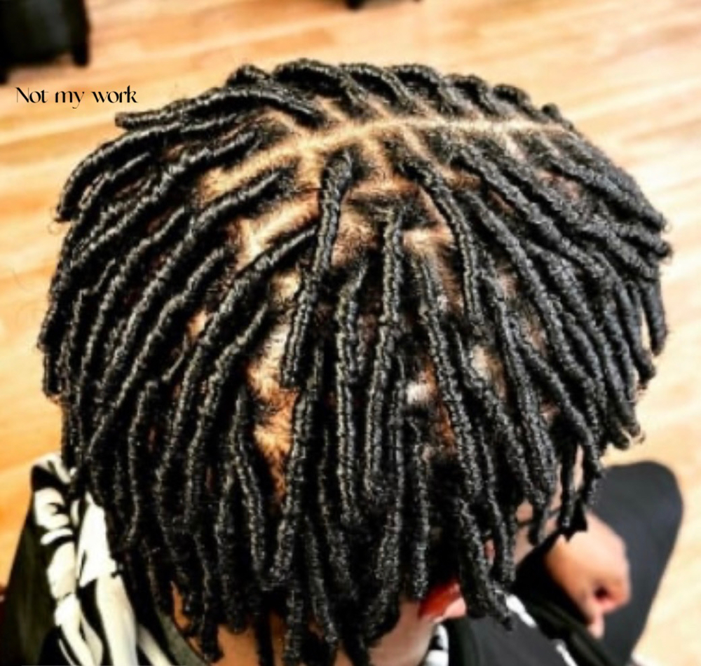 Starter Locs