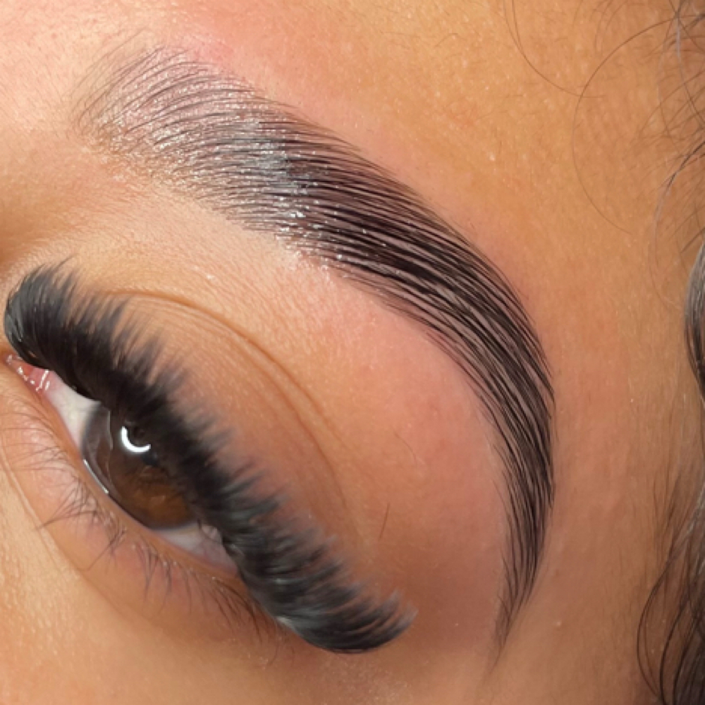 Brow Lami, Shape, Wax & Tint at XO BEAUTY BAR in Valley Stream, NY
