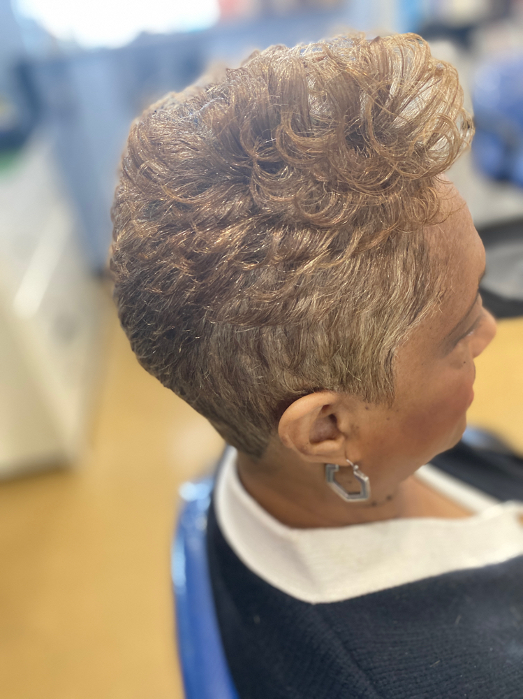 Shampoo /mold /style  (pixie)