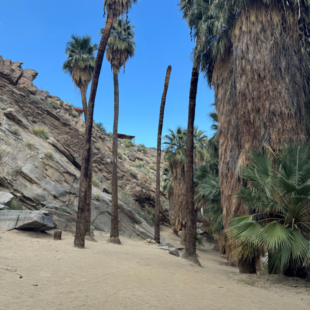 Brow Wax at Indigo Salon @ Beaumont in Lexington, KY