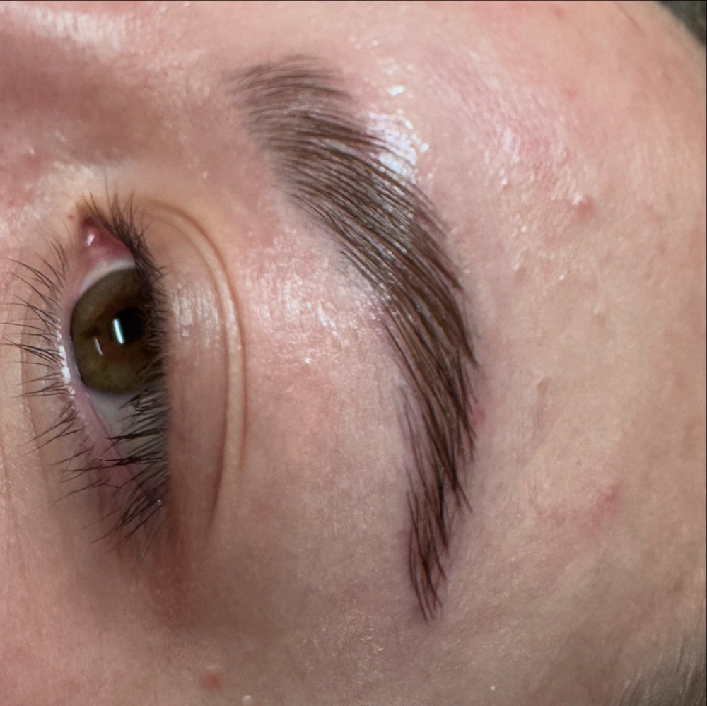 Eye Brow Lamination