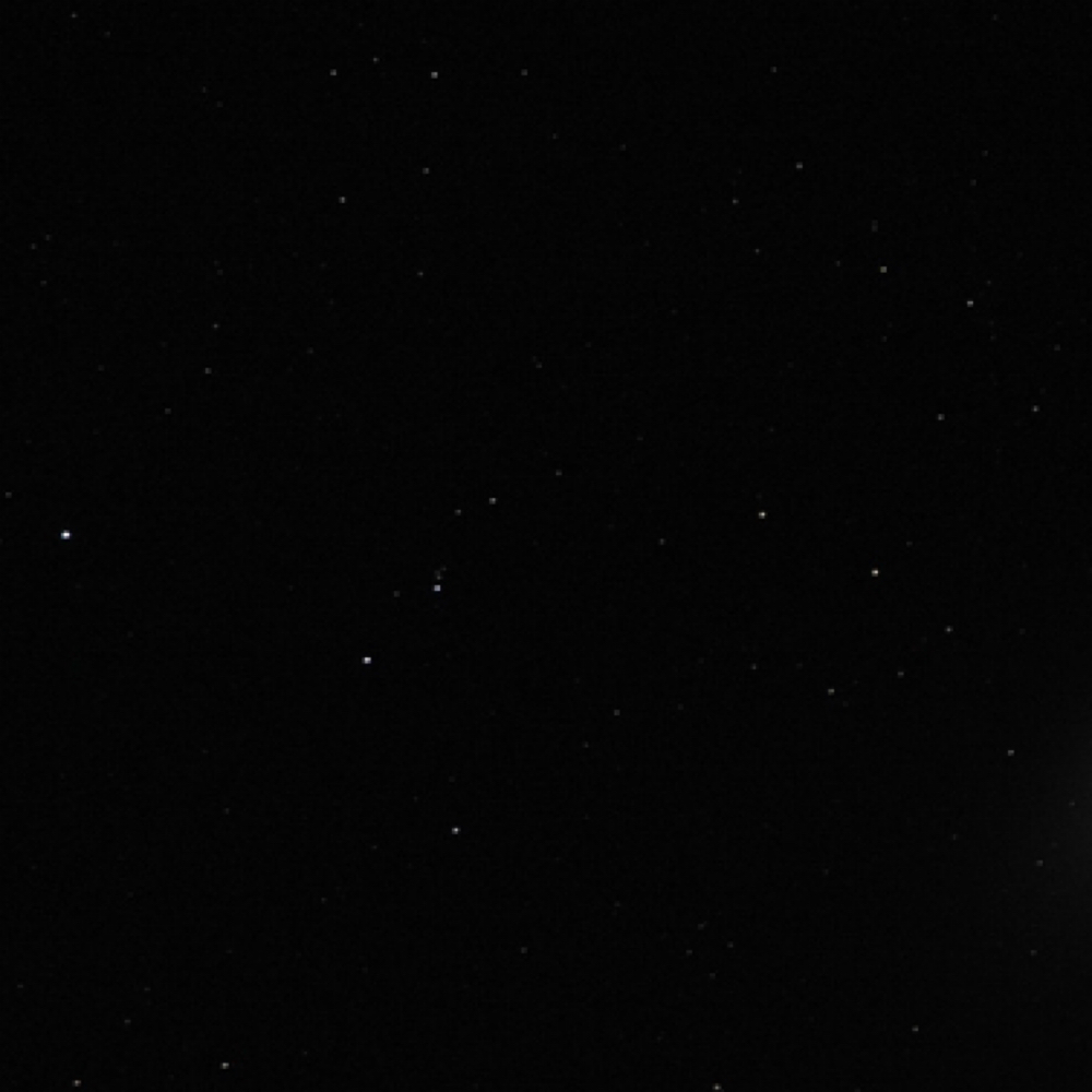 Bikini at Wax & Wane in Huntsville, AL