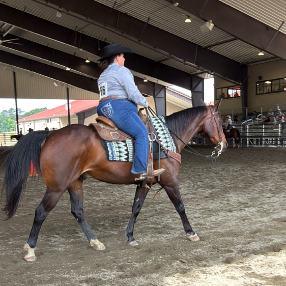 Travel To Lesson at Blue Line Performance Horses in Williamson, GA