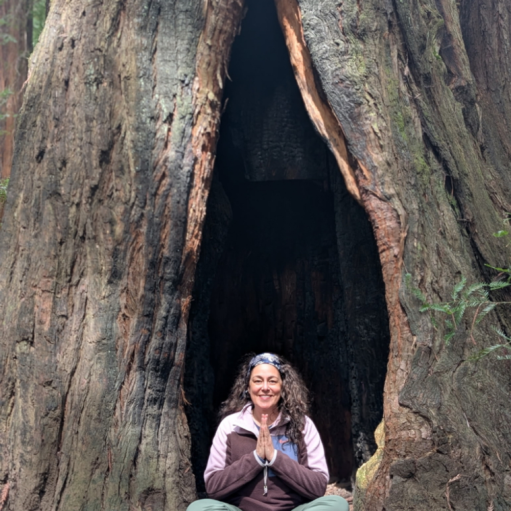 Past Life Regression at Anne Marie’s Love Alchemy in Chicago, IL
