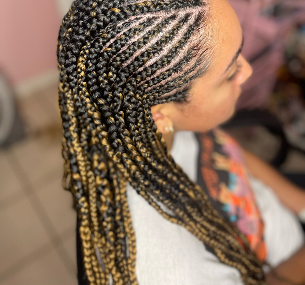 Fulani/Tribal braids (Small)