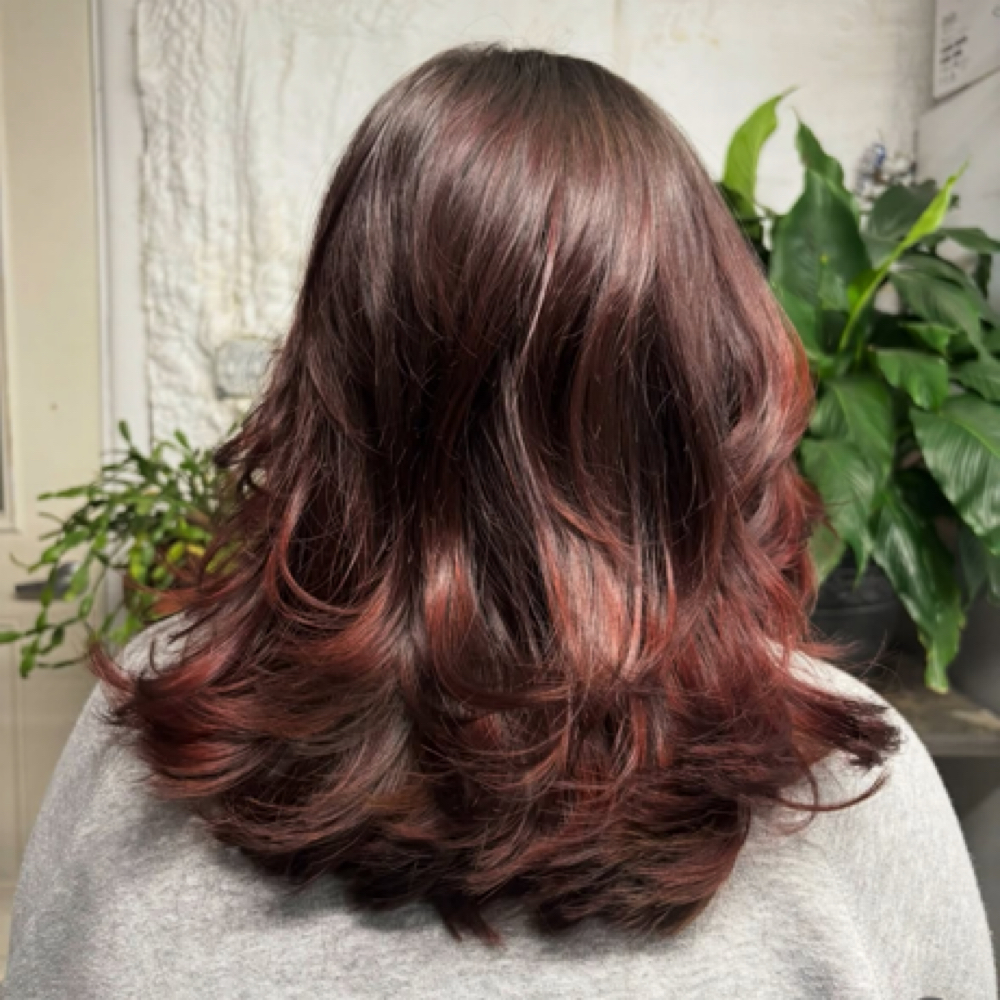 Shoulder Length Haircut at Abigail Alena in Johnson City, TN