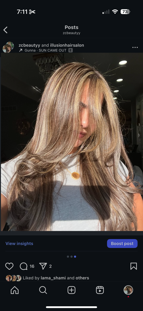 Highlight + Blowdry at Zcbeautyy in Canton, MI