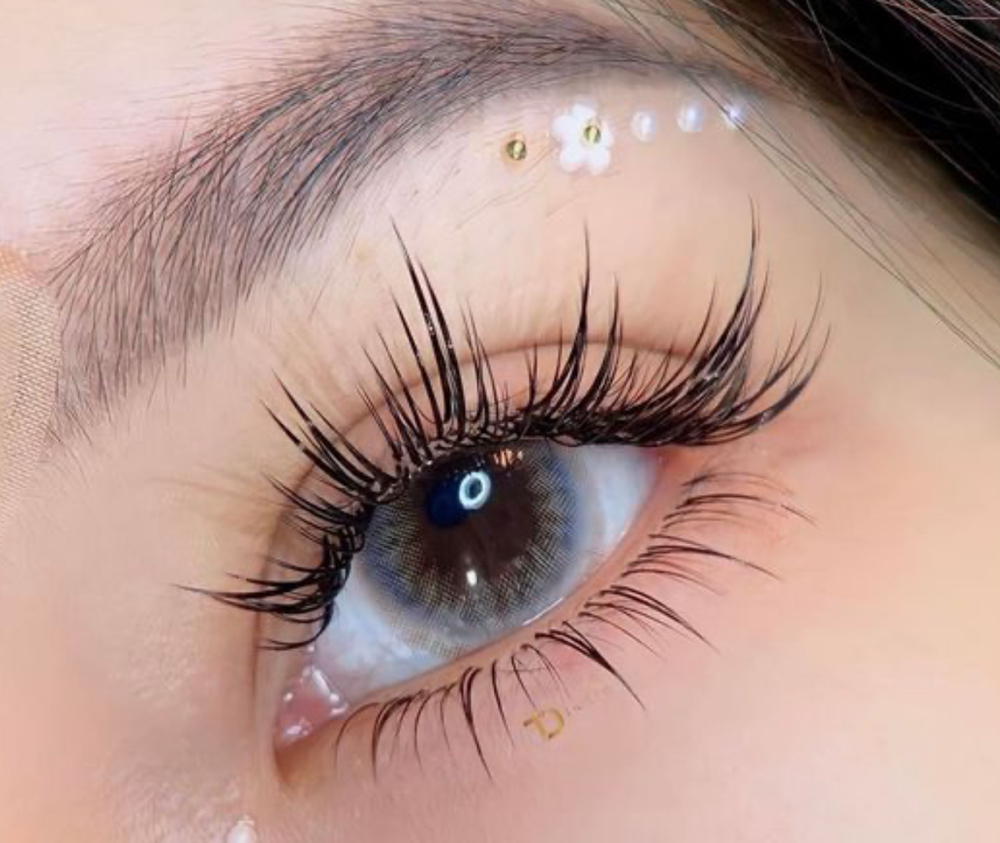 Bottom lashes