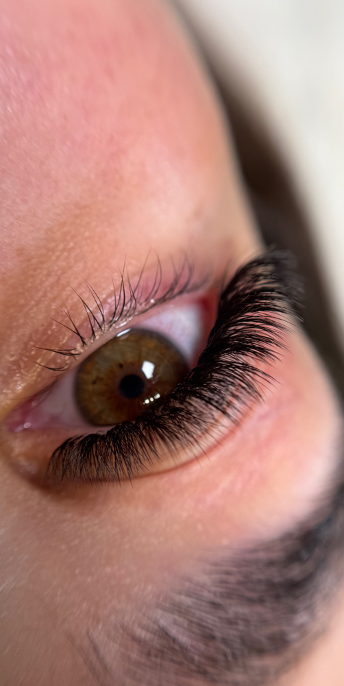 Volume Lash Extensions Refill