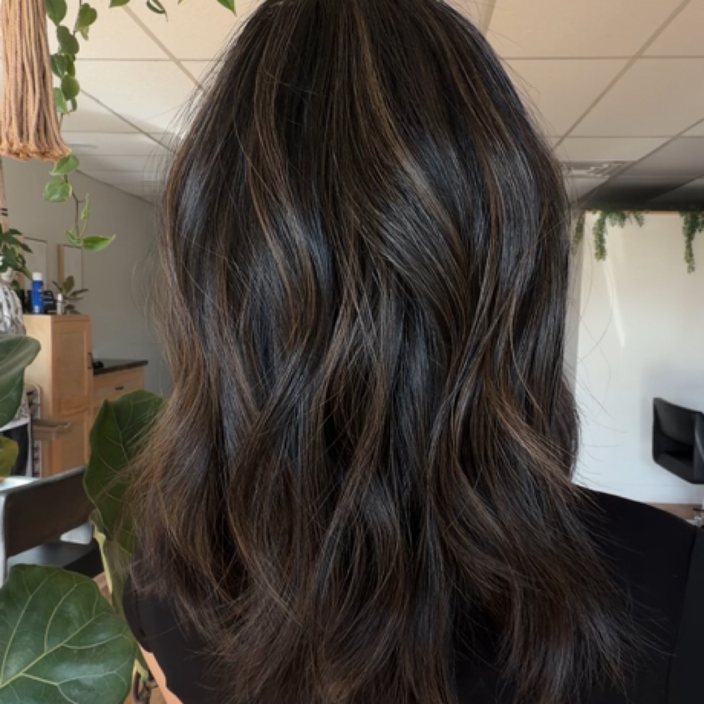 DIMENSIONAL FULL HIGHLIGHT at HAIR BY DIANNA Unleashed at The Beauty Cove in Camarillo, CA