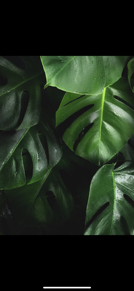 Lash Extention Fill In at Élan Collective Beauty Salon in Frankfort, IN