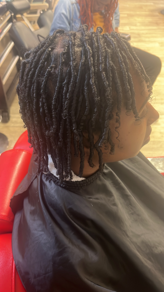 Starter Locs