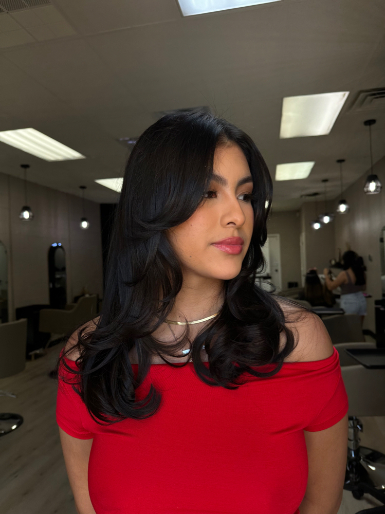 Womens Dry Haircut